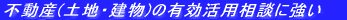 �s���Y(�y�n�E����)�̗L�����p���k�ɋ���